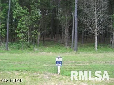 a fire hydrant in the middle of a forest