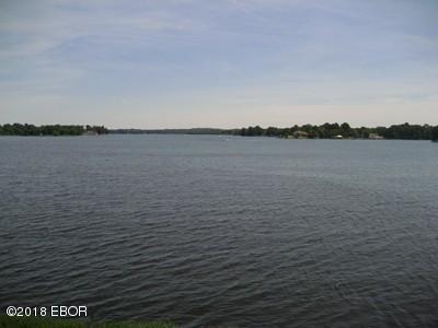 Lot 358 Parrish Ridge Lane Goreville, IL 62939 - Photo 9 of 9 a view of a lake view