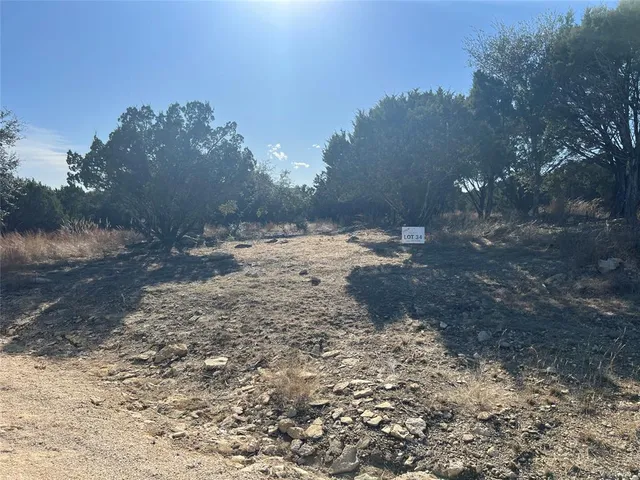 a view of dirt yard with a large tree