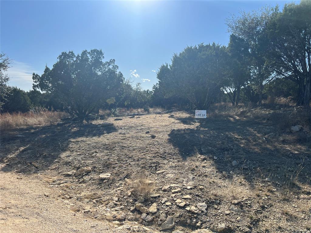 1081 Creek Crossing Road Nemo, TX 76070 - Photo 2 of 7 a view of dirt yard with a large tree