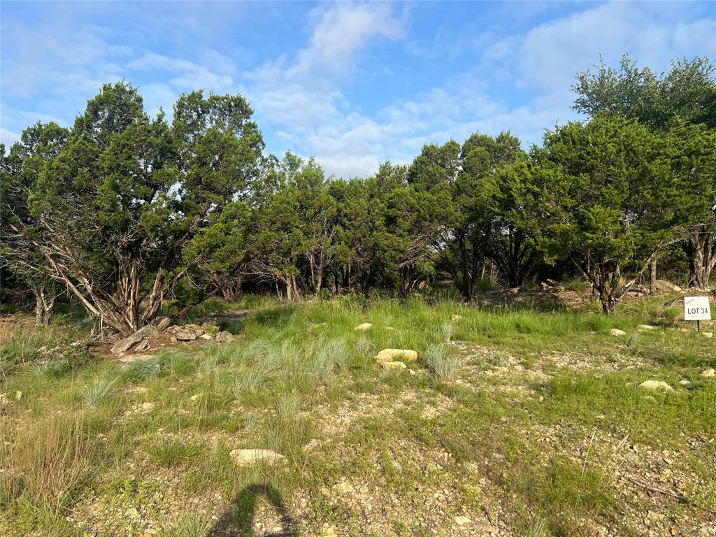 1081 Creek Crossing Road Nemo, TX 76070 - Photo 7 of 7 a view of a lake view