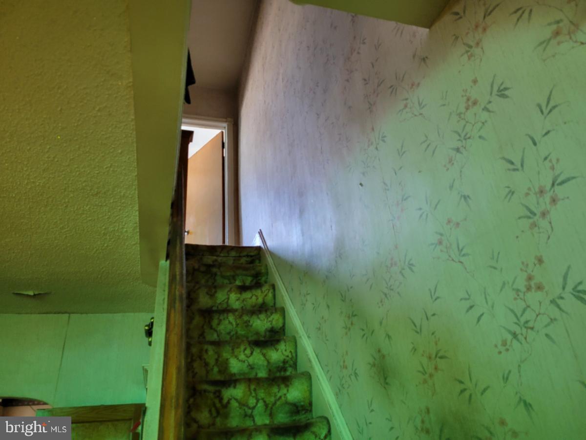 1839 Tree Street Philadelphia, PA 19145 - Photo 4 of 5 Gallery Image 4