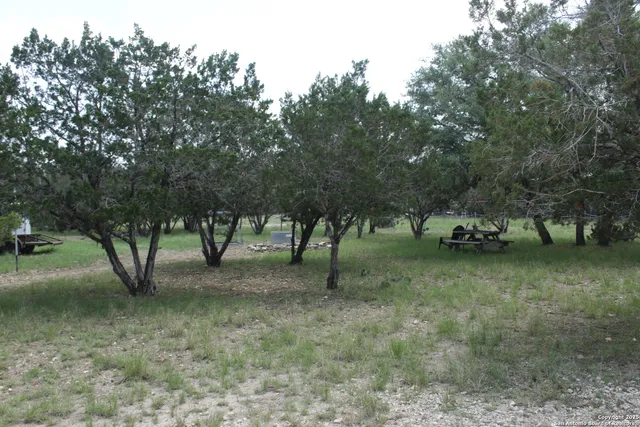 a ground with lots of trees