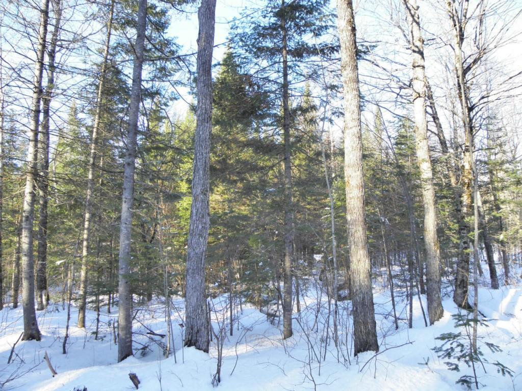 0 West Mills Road Farmington, ME 04938 - Photo 4 of 4 Photo