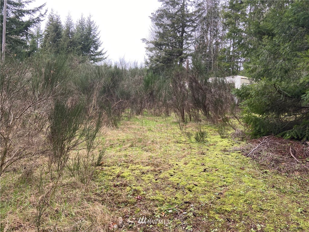 0 Thorndyke Road Port Ludlow, WA 98365 - Photo 2 of 4 Gallery Image 2