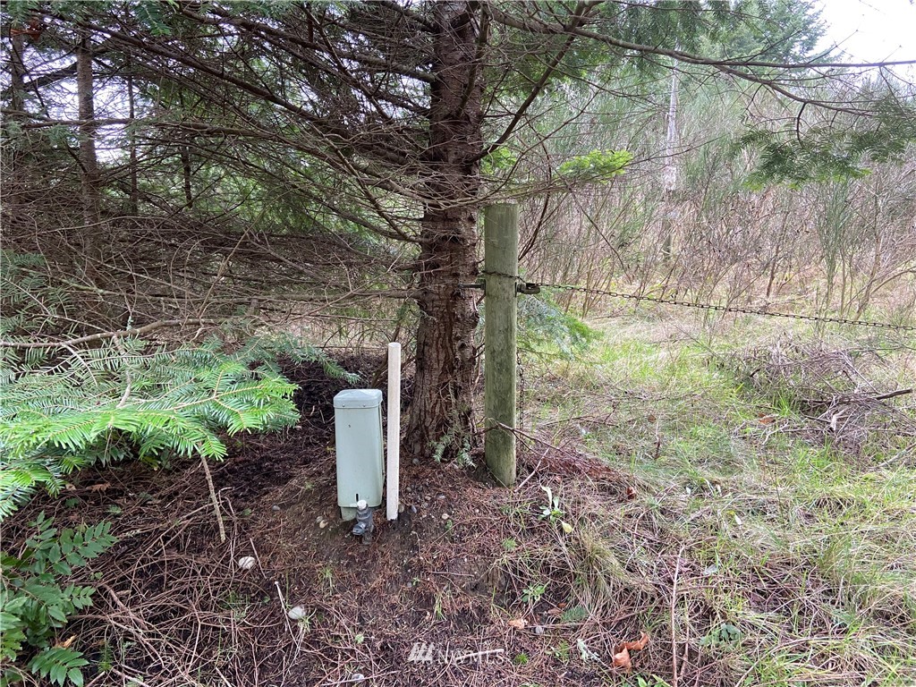 0 Thorndyke Road Port Ludlow, WA 98365 - Photo 4 of 4 Gallery Image 4