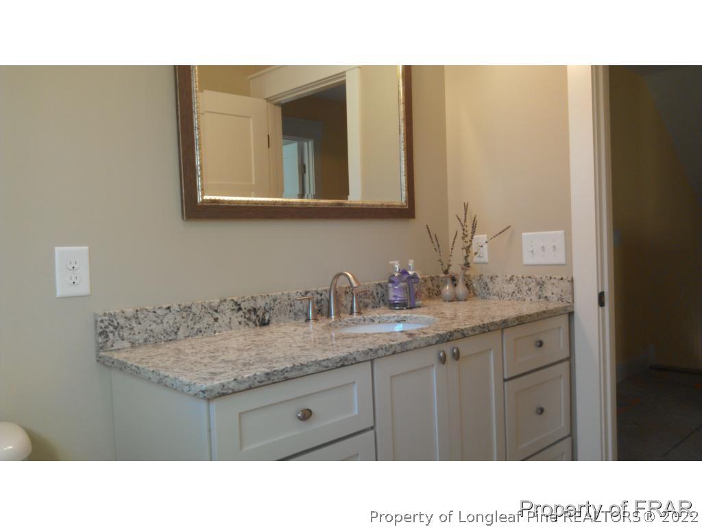 4015 Youngs Road Southern Pines, NC 28387 - Photo 20 of 25 a bathroom with a sink a mirror and a toilet