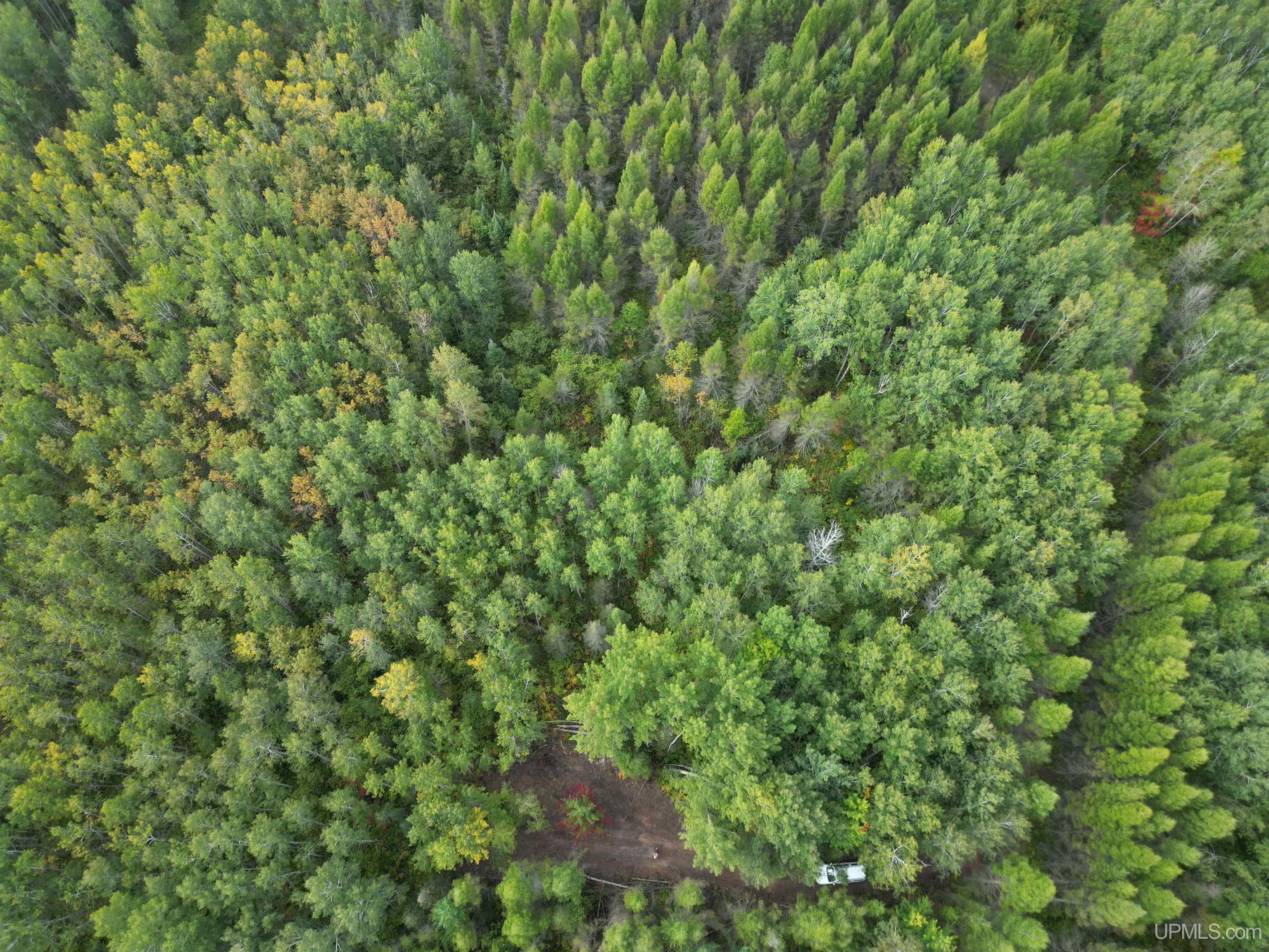426 Rd Cornell Mi 49818 Road Cornell, MI 49818 - Photo 1 of 9