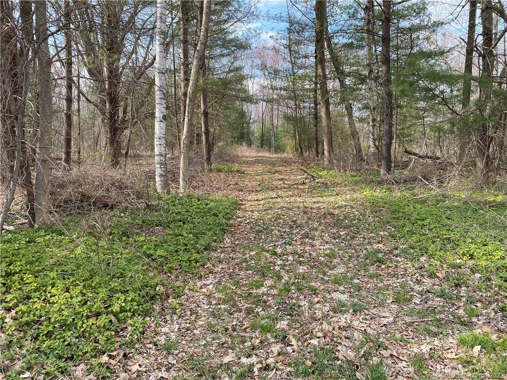 10 Weingart Road Harwinton, CT 06791 - Photo 1 of 1 Gallery Image 1