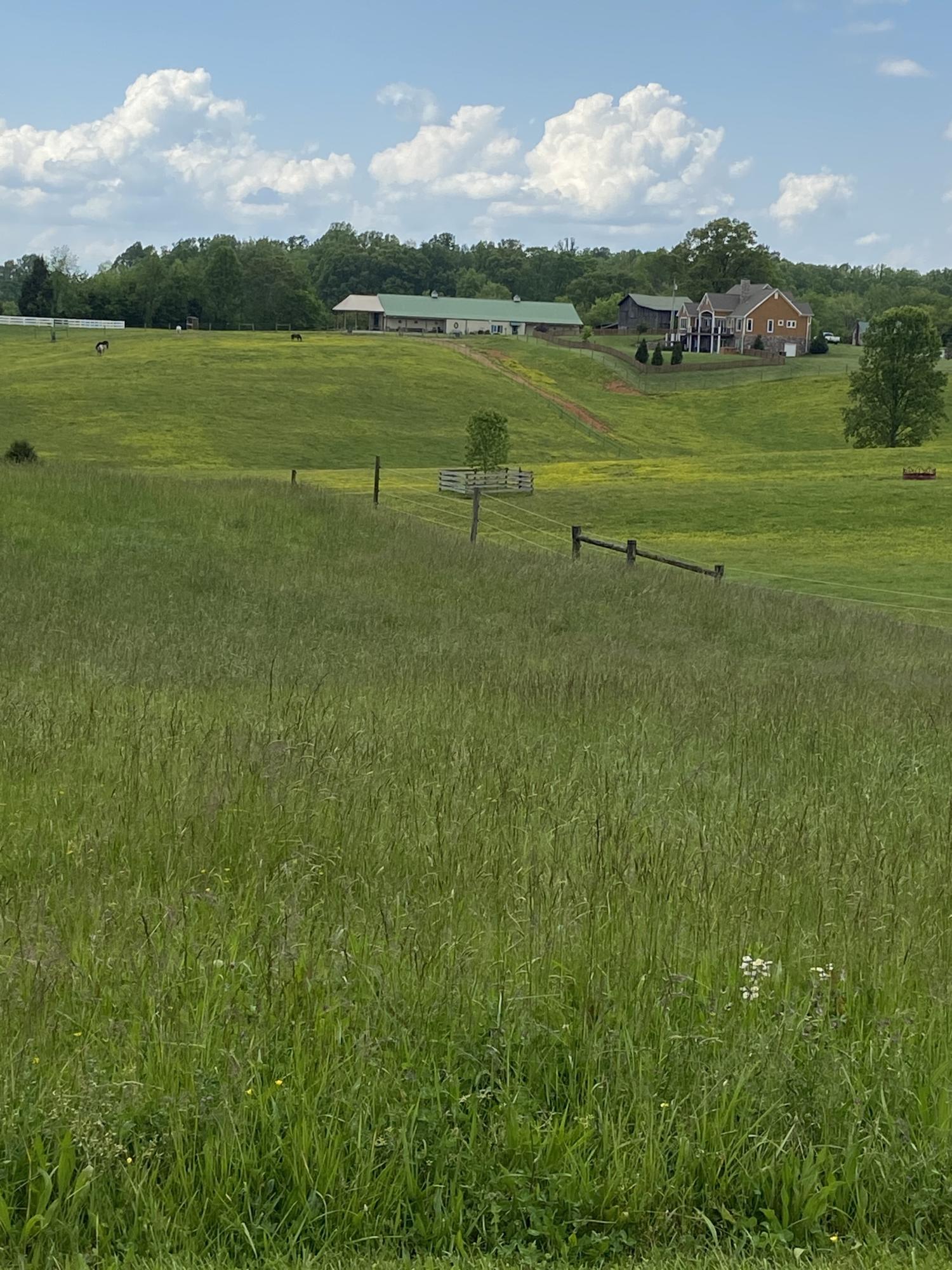 0 Ralph Hoss Road Jonesborough, TN 37659 - Photo 1 of 2 Photo 2