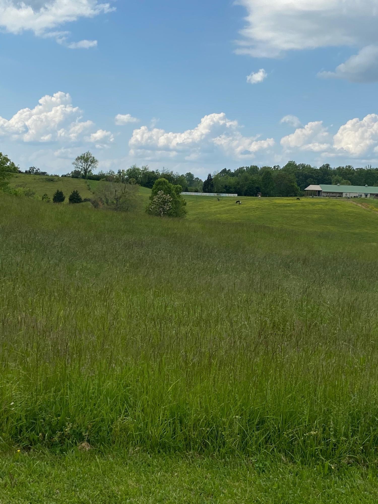 0 Ralph Hoss Road Jonesborough, TN 37659 - Photo 2 of 2 Photo 1