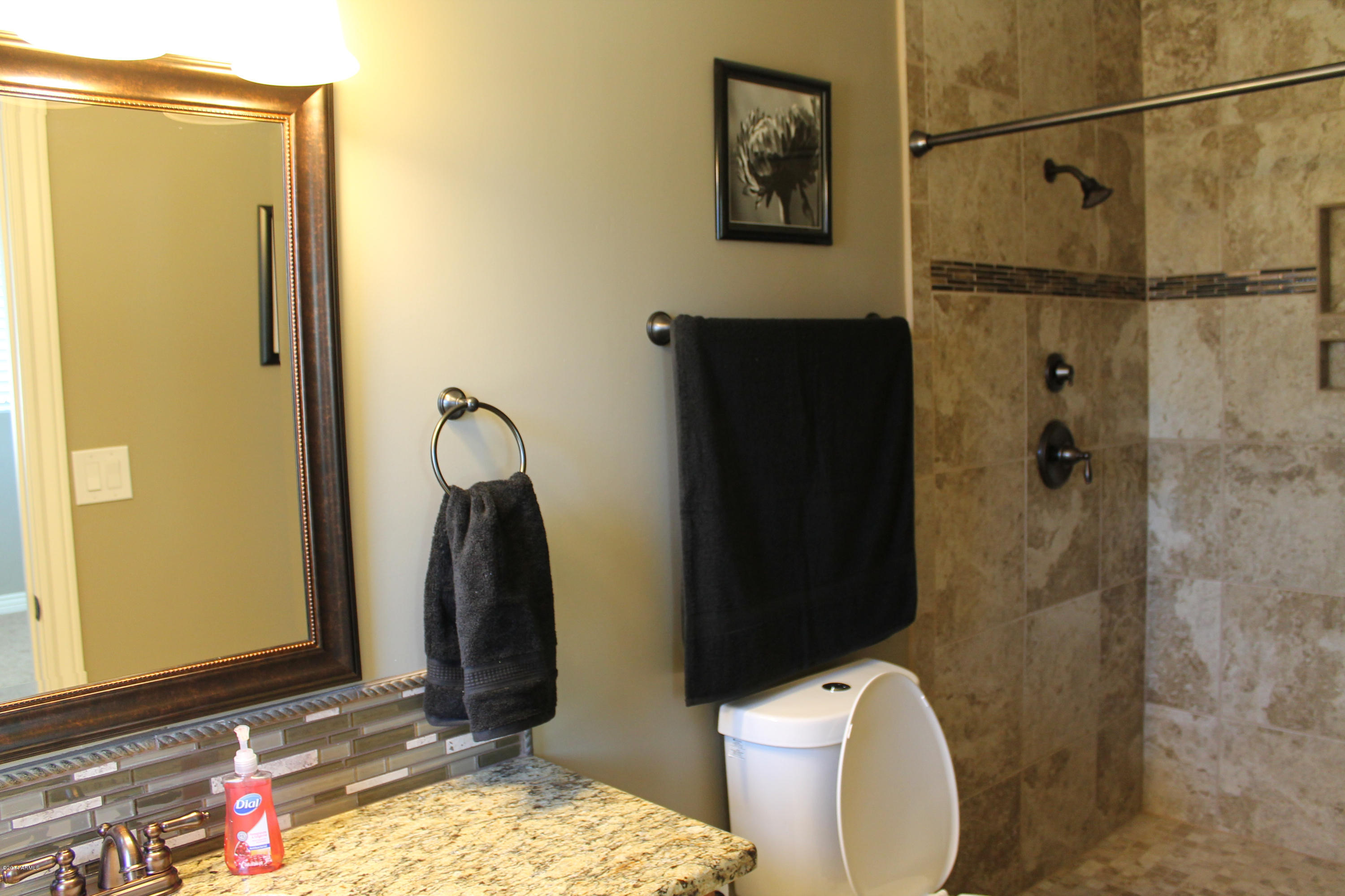 3701 East Coronado Road Phoenix, AZ 85008 - Photo 18 of 25 IMG_1216