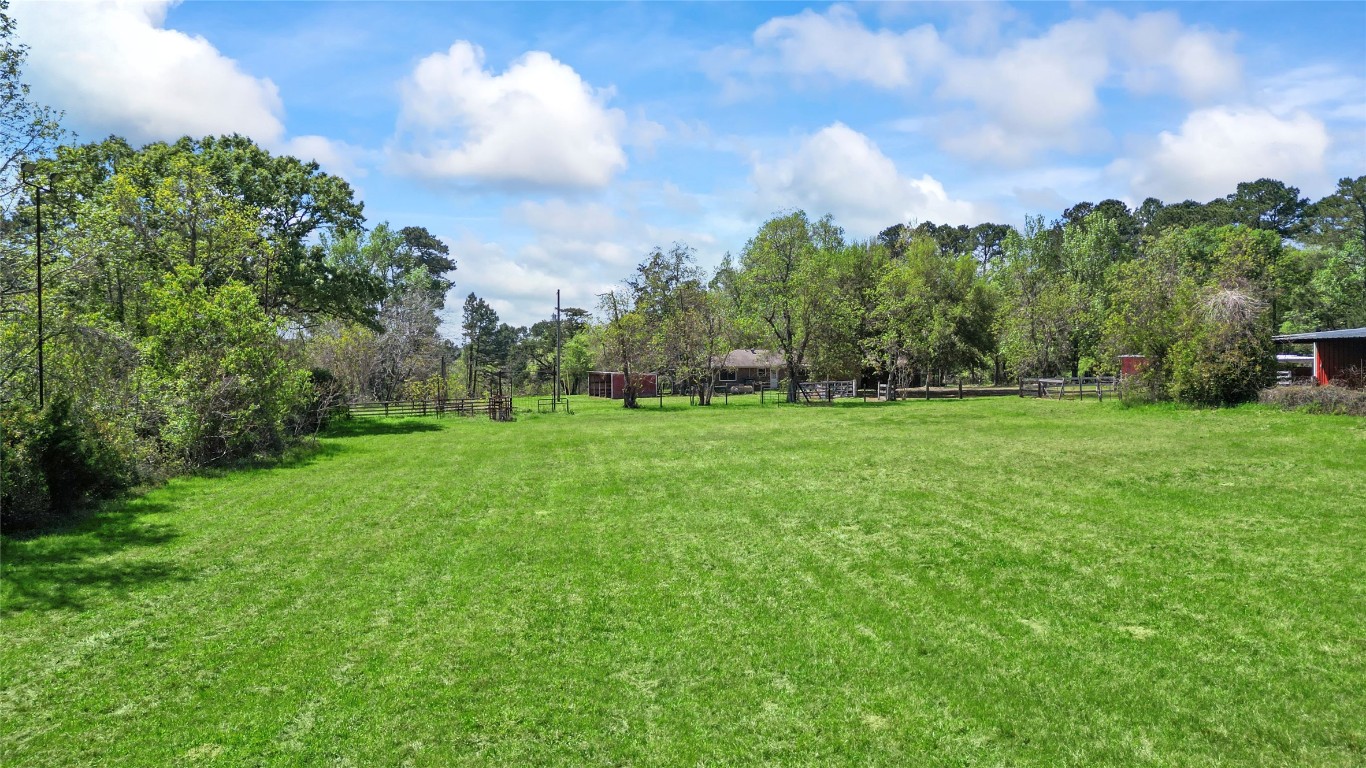 187 Watson Lake Road Huntsville, TX 77340 - Photo 23 of 25 a backyard of a house with lots of green space