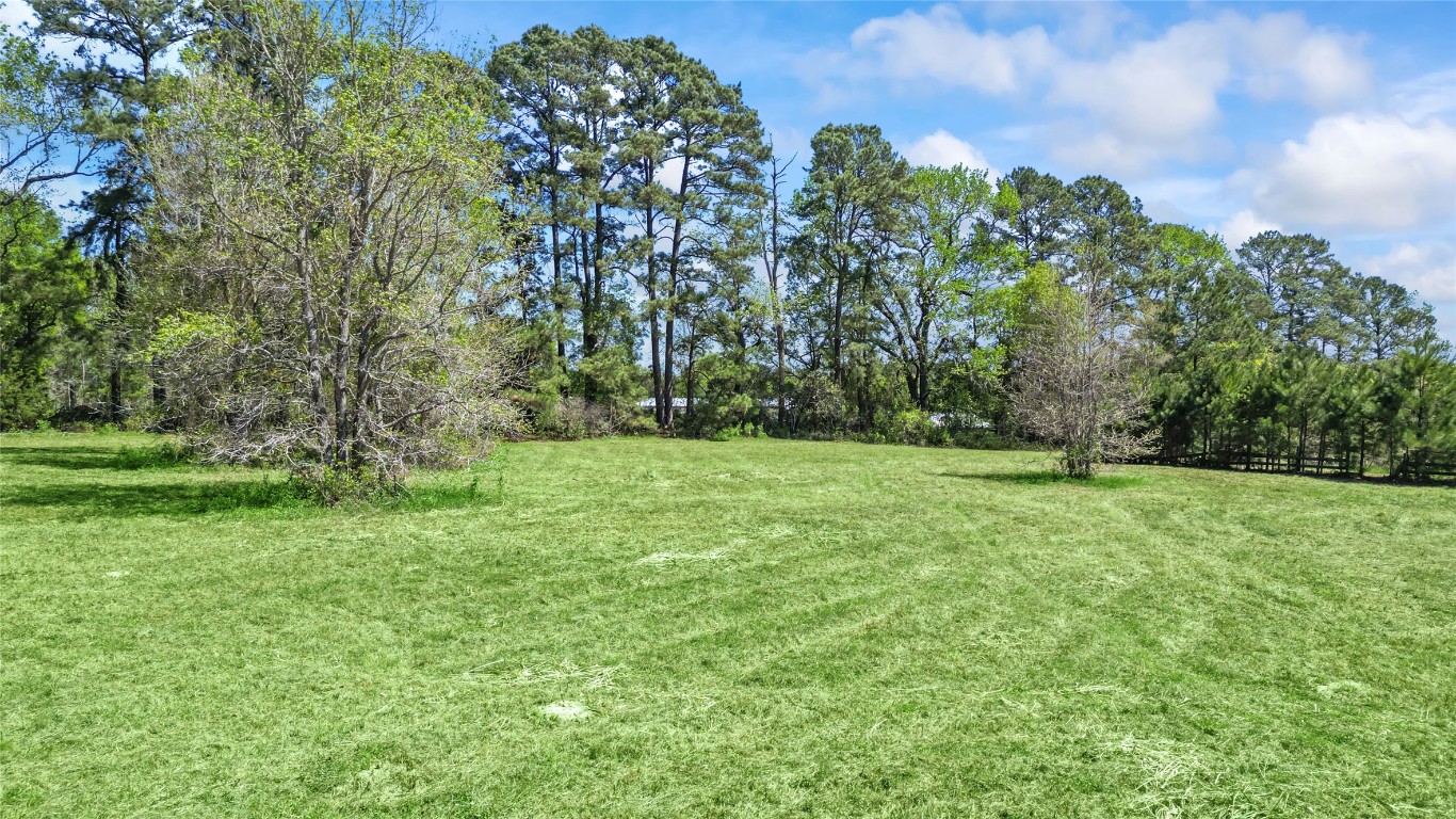 187 Watson Lake Road Huntsville, TX 77340 - Photo 24 of 25 a view of a grassy field with trees