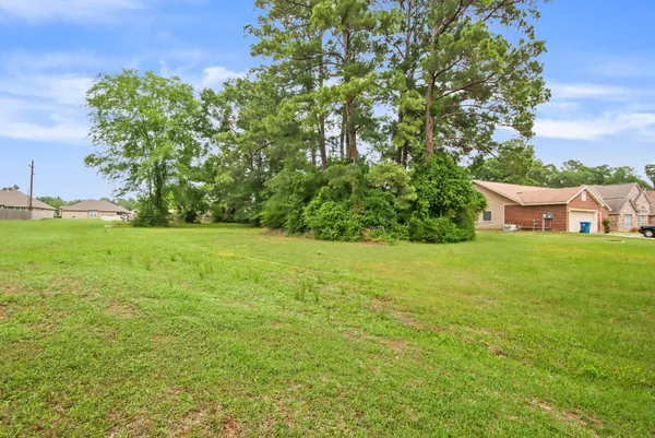 a view of a green field with trees in the background
