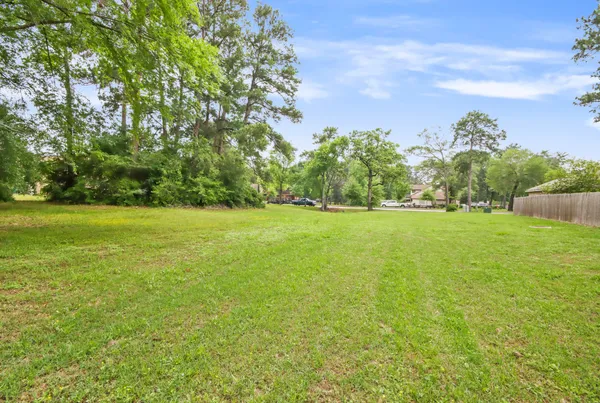 a view of a garden with lawn chairs