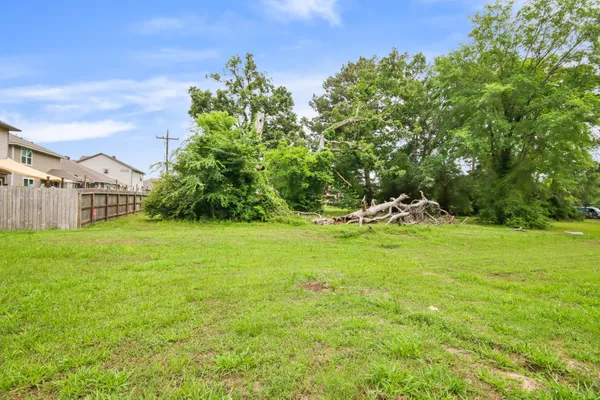 a ground with lots of trees