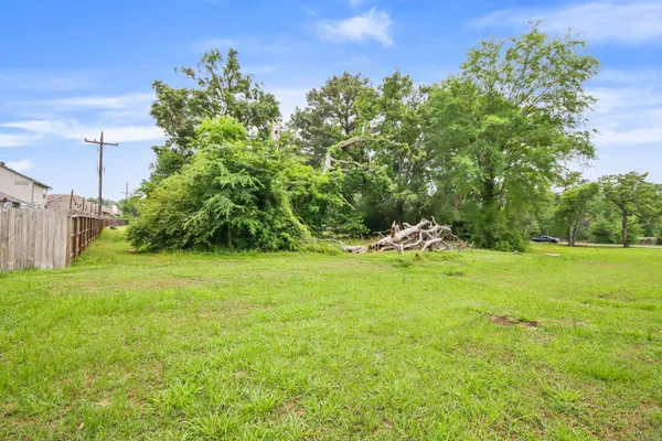 a view of a garden with an tree