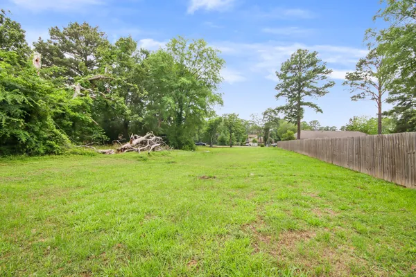 a view of a garden with a tree