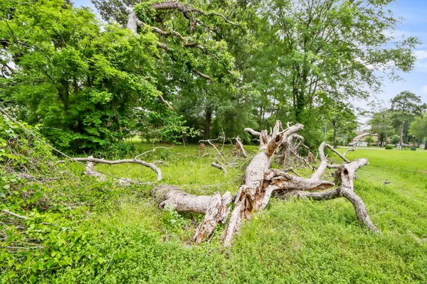 a view of an outdoor space and a yard