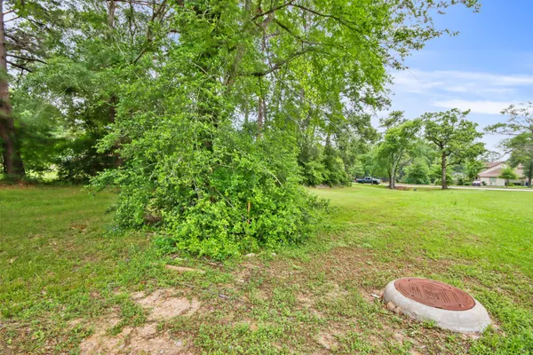a view of yard with green space