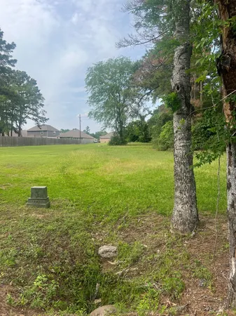 a view of a garden with an outdoor space