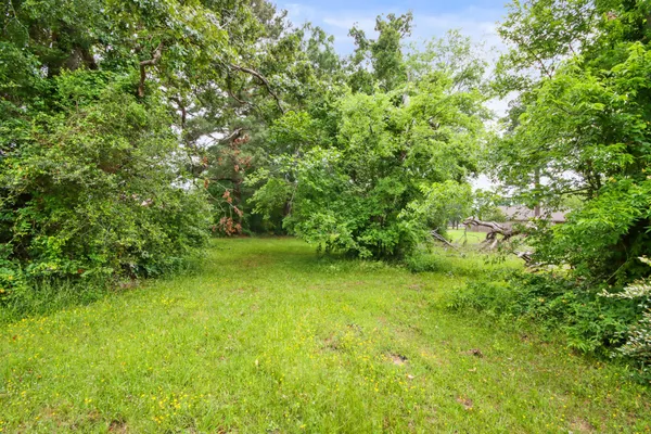 a view of yard from a outdoor space