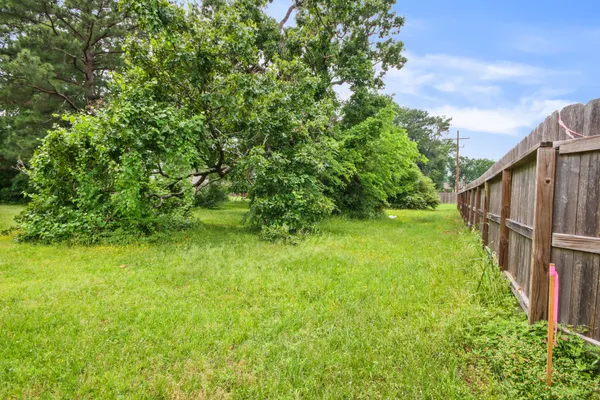 a view of a yard with a tree