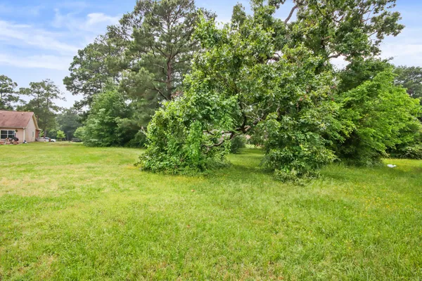 a view of a back yard