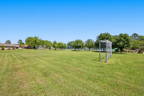 a view of a yard with a tree