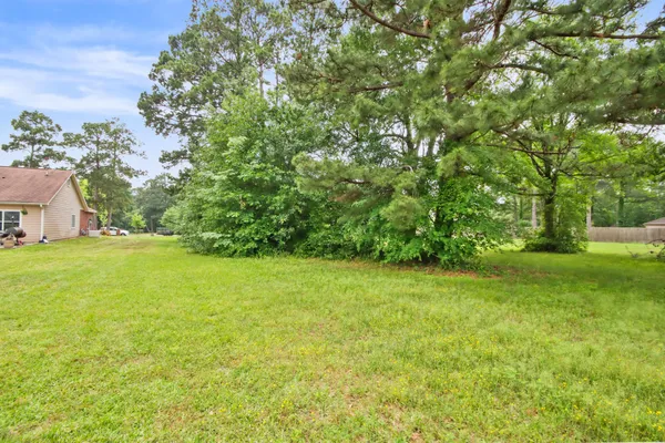 a view of a park with large trees