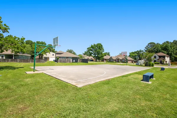 a view of a garden with a bench