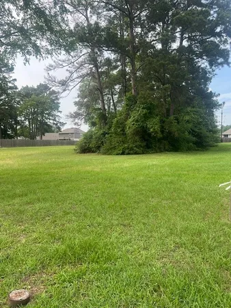 a view of a green yard