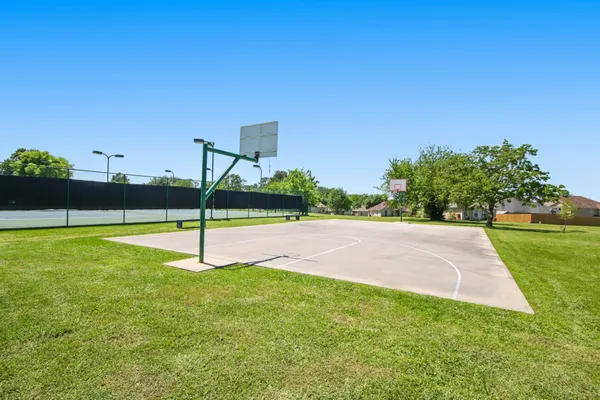 a view of a park with large trees