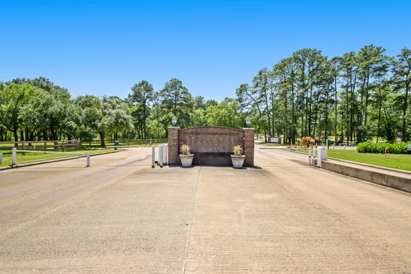 a view of a park with palm trees
