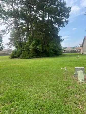 a view of a green yard