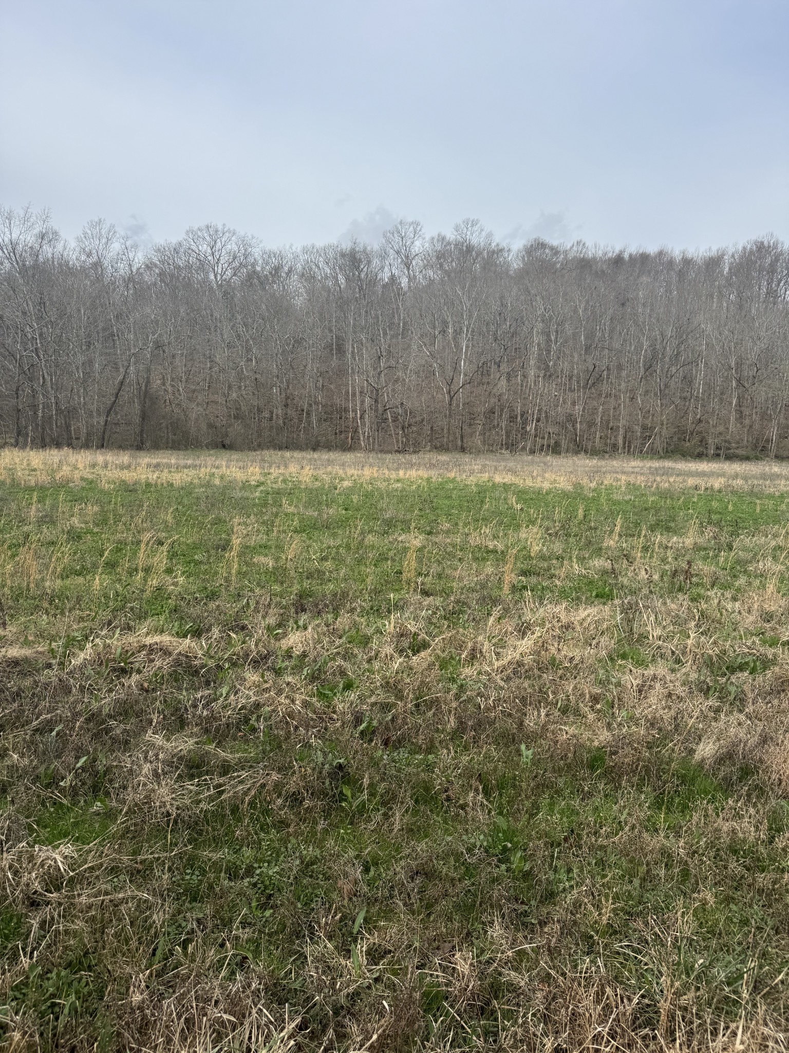 1234 Puncheon Creek Road Lafayette, TN 37083 - Photo 2 of 5 a view of a backyard with mountain