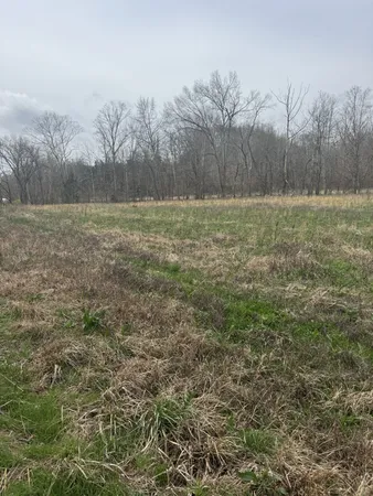 a view of outdoor space with green field and trees in the background