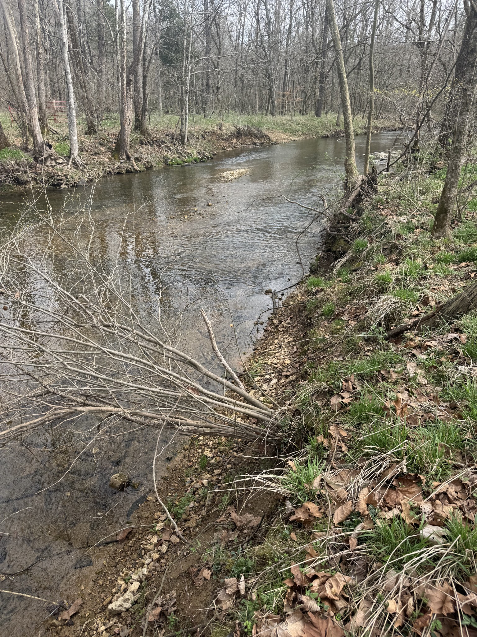 1234 Puncheon Creek Road Lafayette, TN 37083 - Photo 4 of 5 a view of water with large trees