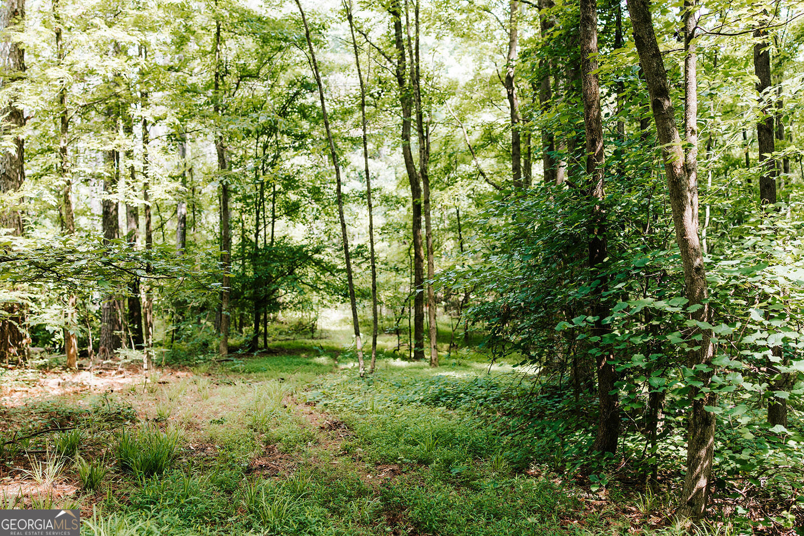0 Stephens Salem Road Stephens, GA 30667 - Photo 11 of 43