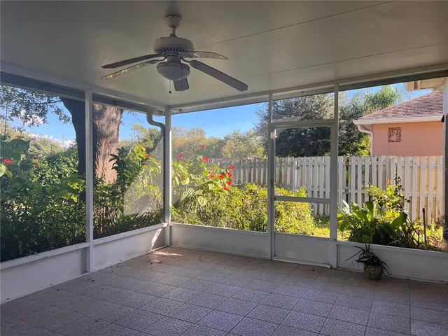 a view of a garden with plants
