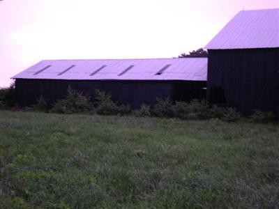 587 Snake Ridge Road Sharpsburg, KY 40374 - Photo 4 of 6 Photo 4