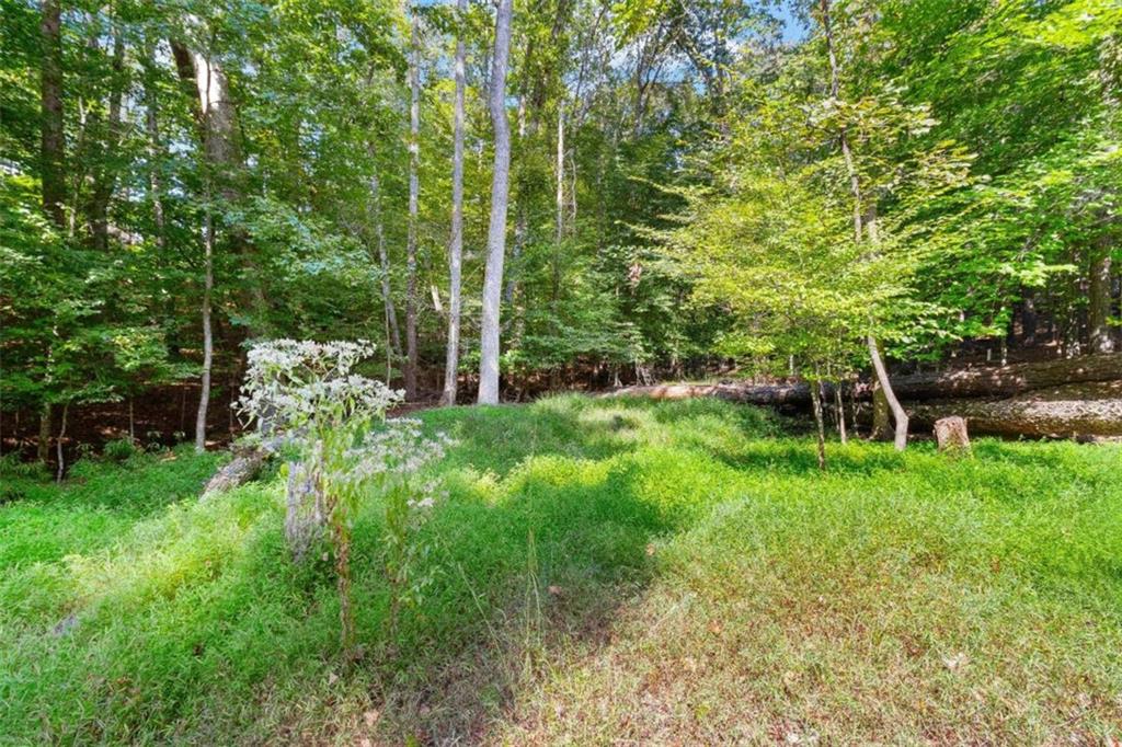 1670 Riverside Road Roswell, GA 30076 - Photo 81 of 88