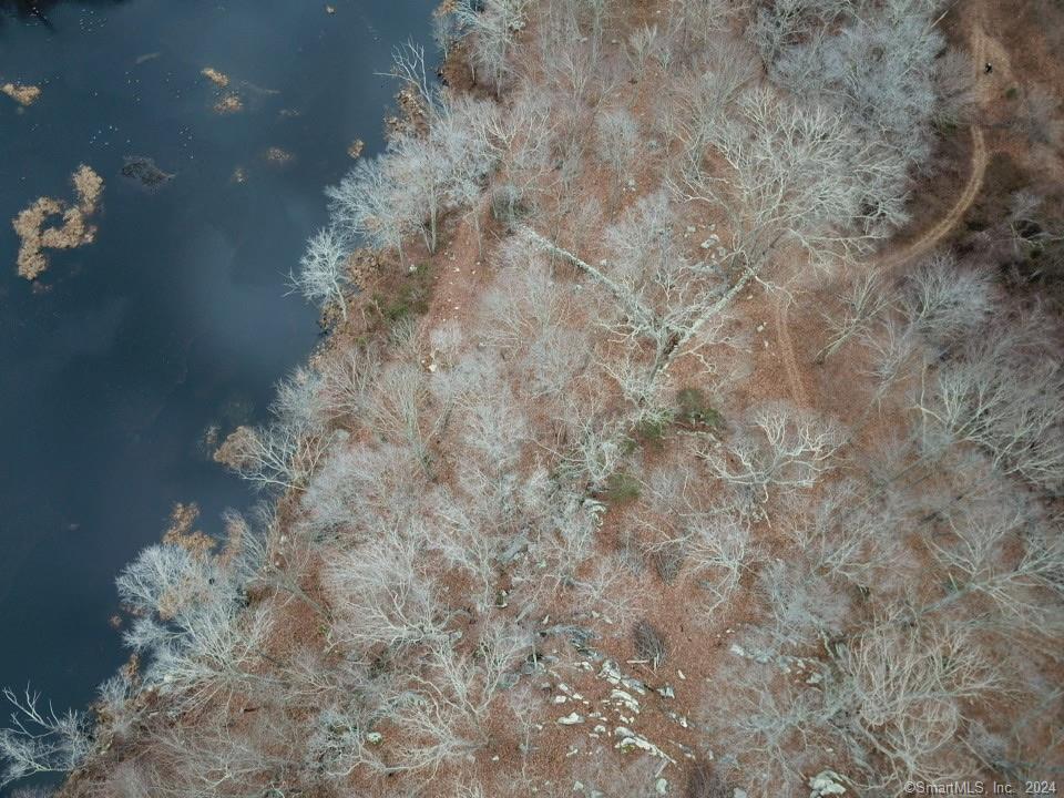 1 Houperts Way Clinton, CT 06413 - Photo 11 of 17 a close up of a plant