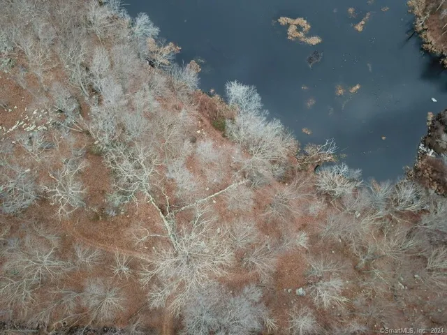 a view of a dry yard