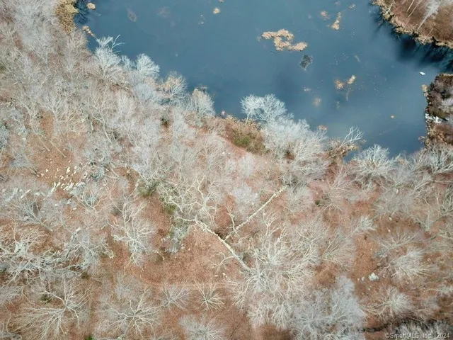 a view of a dry yard