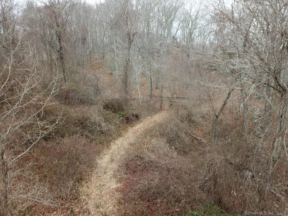 1 Houperts Way Clinton, CT 06413 - Photo 17 of 17 a view of a dry yard