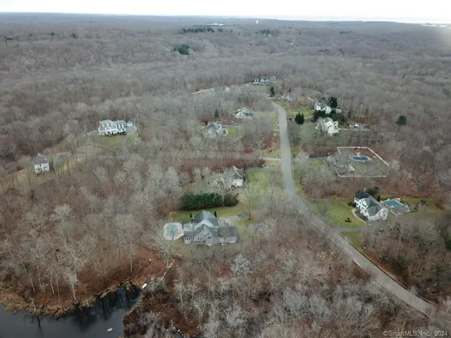 a view of a forest with trees in the background