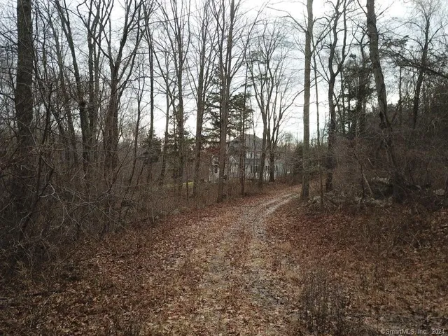 a close up of a plant
