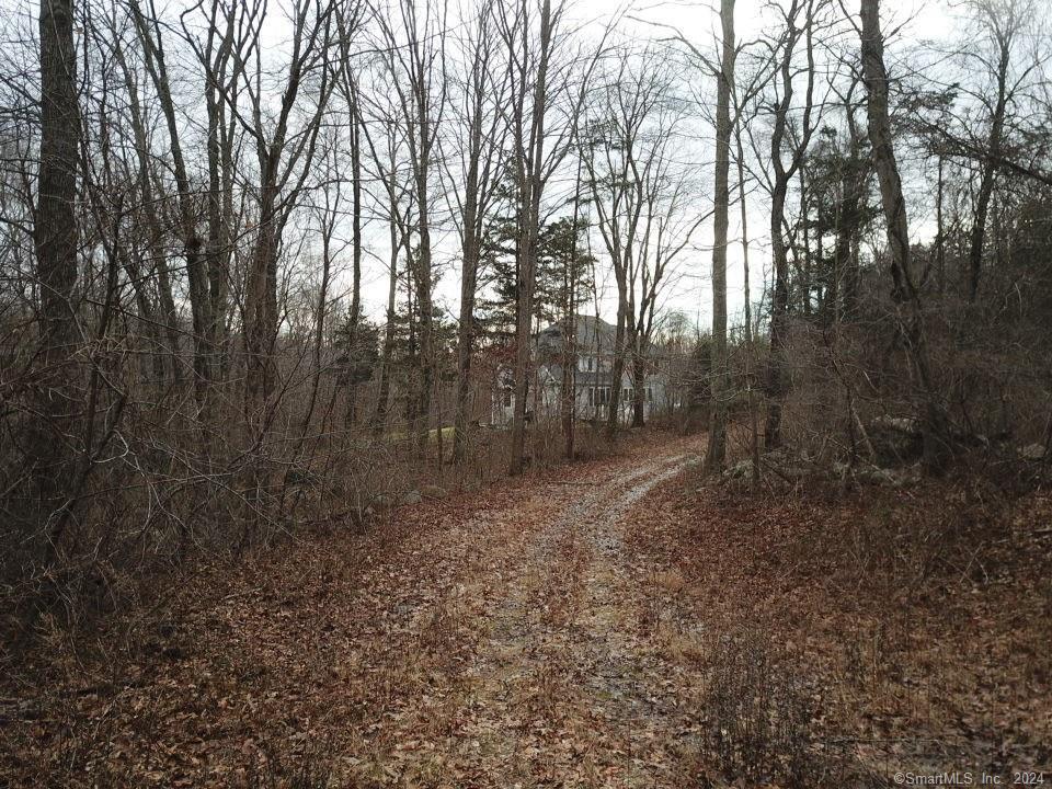 1 Houperts Way Clinton, CT 06413 - Photo 9 of 17 a view of a forest with trees in the background
